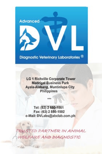 about-us-dvl-img